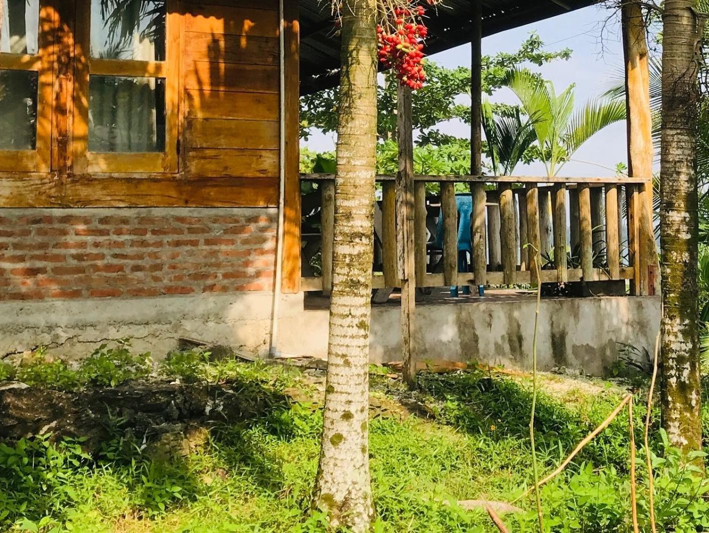Dolin Cottage Hilibotodane Ngoại thất bức ảnh